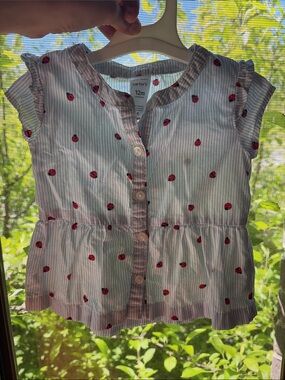 Baby Girl’s Light Blue Pinstripe & Lady Bugs Top
